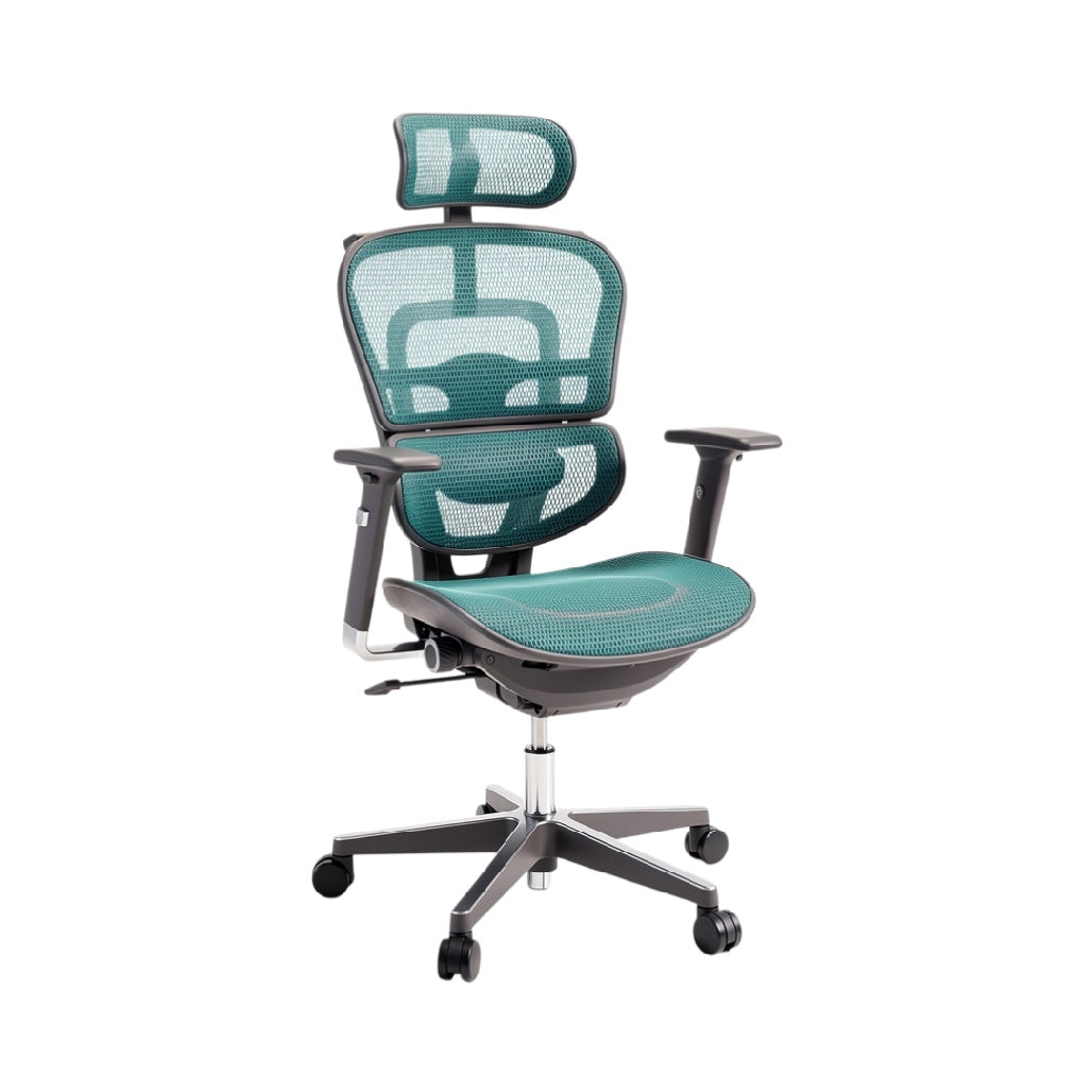 Chaise de bureau ergonomique en mesh avec soutien lombaire ajustable