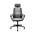 Chaise de Bureau Ergonomique avec Dossier Réglable et Accoudoirs